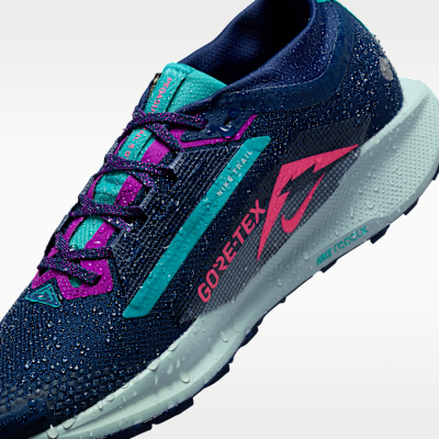 Nike Pegasus Trail 5 GORE-TEX