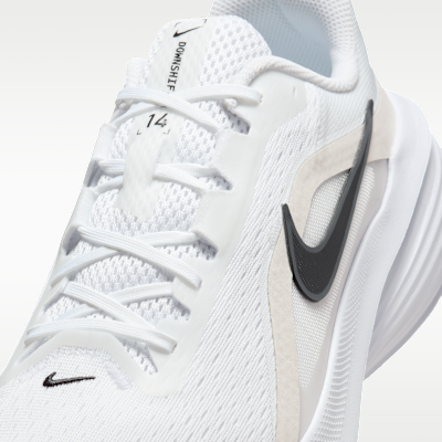 Nike Downshifter 14